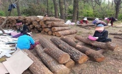 광주 4수원지 유휴지 활용 버섯재배
