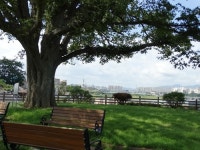 동학농민운동, 마지막 희망과 불안