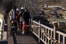 제암산 자연휴양림 더늠길 산책 인기
