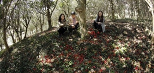 백련사, 동백 숲 양탄자 길