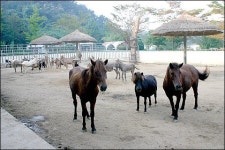 우치동물원 5월부터 무료 개방