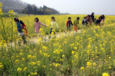 광주 북구 산동교 친수공원에 ‘억새군락지’ 추진