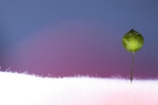 광주시청자미디어센터 `새로움의 기원’ 전 31일까지