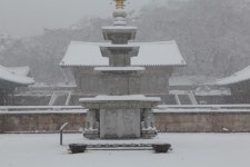 [전고필 터무니를 찾아서]눈보라 속 수덕사