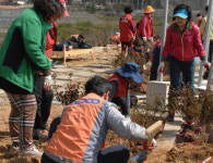 한전 광주전남본부 식목일 맞아 묘목 식재