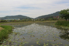 [광주앞산뒷산습지]<1>전평제 습지와 생물다양성