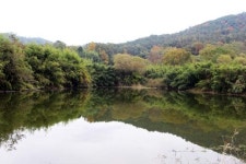 [광주앞산뒷산습지]사동제 습지비오톱