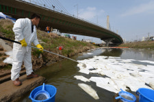 풍영정천 기름 유출, 광주시·광산구 방제작업