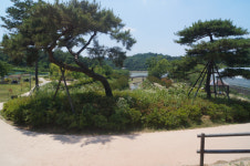 아껴둔 공원 부지, 개발업자가 홀라당?