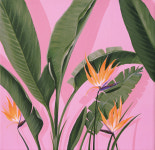 네이버문화재단, 광주서 ‘크리에이터 시리즈’ 전시·공연