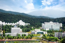 “조선대 대학역량평가 책임, 강동완 총장 사임 의결”