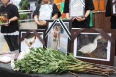 초복 앞둔 11일, 광주서 ‘동물위령제’ 
