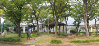 광주 서구, 추석맞이 공원녹지 환경정비