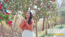 전남도가 뽑은 5월 여행지 63선