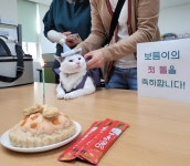 광주학생마음보듬센터 고양이 보듬이 첫 생일