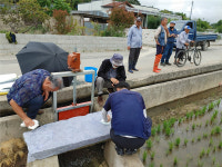 어성포·어성교, 해남팔경 남포귀범 형상화