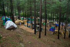 올들어 100만 명…전남 산림휴양시설 인기