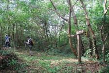나주 곳간 지킨 울타리…8km 곧게 뻗어