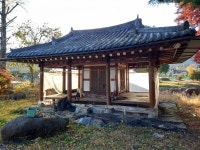 삼괴정, 비닐 등 쓰레기 에워싸 흉물 전락