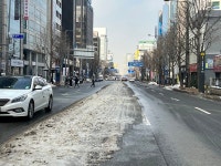 폭설에 빼앗긴 차선·보도 언제까지?