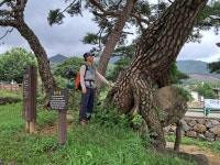 구름도 산을 넘지 못하고...도처에 명품계곡을 빚다