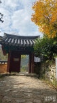 월출산 배경삼아 장엄하게 안긴 도갑사