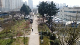 [푸른길 20년] 철도가 있던 자리, 시민들 나서 숲을 그리다
