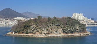 여수시, 장군도 가마우지 퇴치 나선 까닭