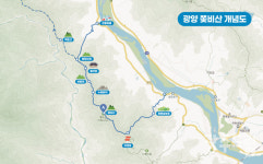 섬진강 따라 핀 매화향에 취하다