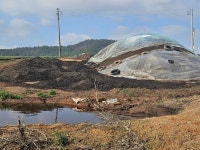무안 해제 바닷가 가축분뇨퇴비 야적 방치