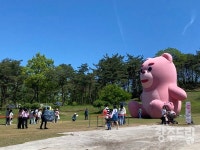 596기 고인돌, 신비로운 화순으로