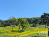 596기 고인돌, 신비로운 화순으로
