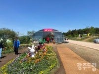 596기 고인돌, 신비로운 화순으로