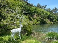596기 고인돌, 신비로운 화순으로
