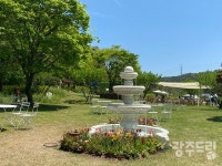 596기 고인돌, 신비로운 화순으로