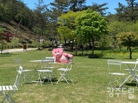 596기 고인돌, 신비로운 화순으로