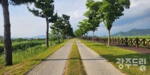 순천시, 순천만역 ~ 쉼터 갈대열차길 맨발 걷기길 조성