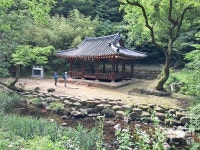 보성 녹차의 발상지, 대원사가 터줏대감