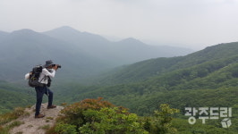 심마니들의 약초산행 1번지