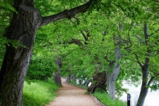 화순8경 에 더할 화순 대표 관광지 추천해주세요