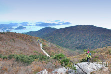 바다와 섬을 배경으로 걷는 조망, 힐링의 섬