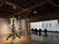 소금자루 위, 해외작가가 그린 신안 섬 증도