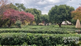 영암·강진·해남 3개의 다원, 3곳의 낙원