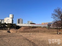 광주 관광 뜻밖 핫플 월계동 장고분