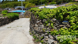 [힐링의 섬, 완도] 느린 섬 청산도