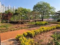 양산호수공원에 맨발 산책로가 생겼습니다