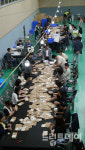 인셀덤빛고을대통령 | "공정하고 정확하게"…광주 9시 9분 개표 시작