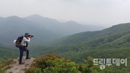 심마니들의 약초산행 1번지