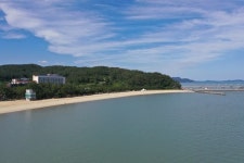 [폭염 탈출…전남 바다가 열린다] 보성 율포솔밭해수욕장