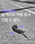 사진으로 보는 광주 환경이야기 토크콘서트 개최